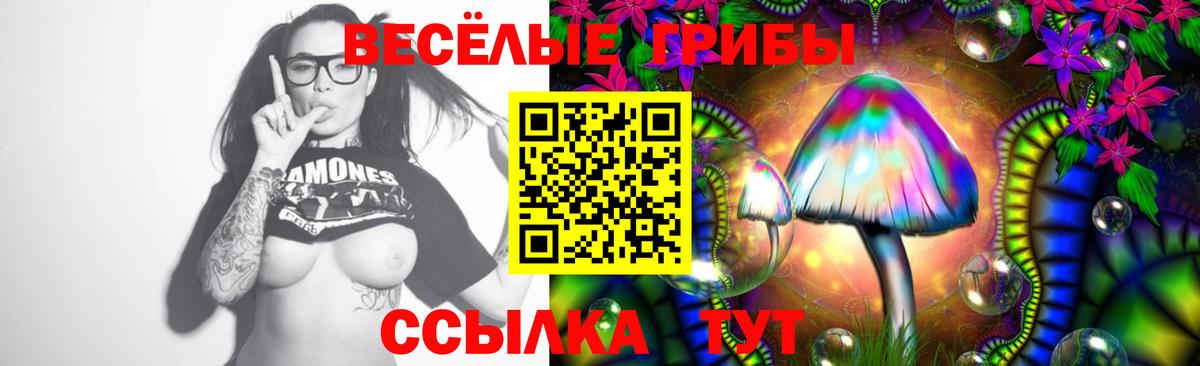 Галлюциногенные грибы прущие грибы Новодвинск